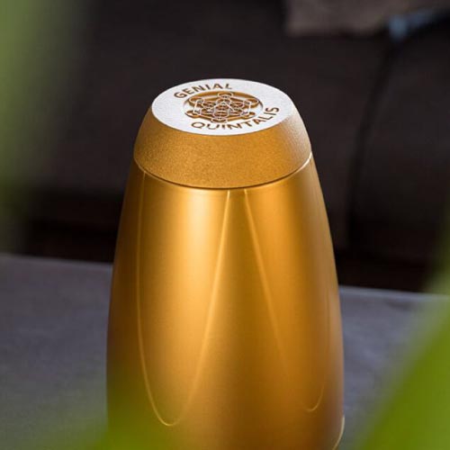 Störfelder - Stressfrei durch den Alltag - Quintalis